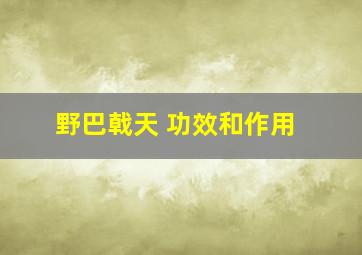 野巴戟天 功效和作用